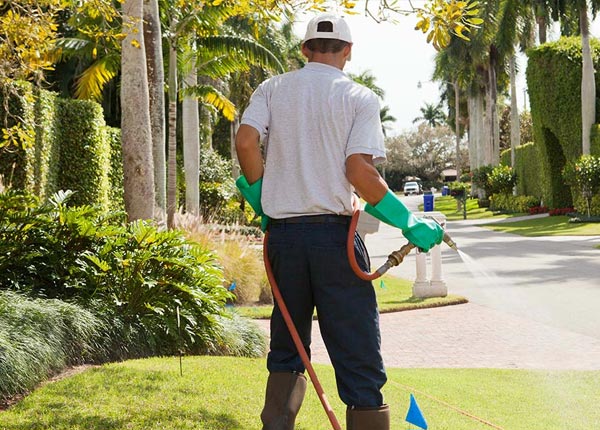 About Woodston KS Pest Control